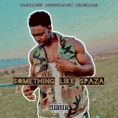 Something Like Spaza