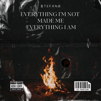 $tefano vibes - Single