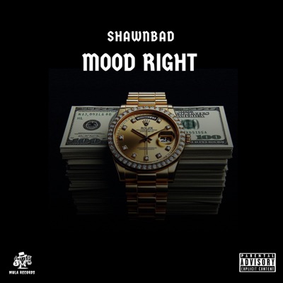 Mood Right - Single