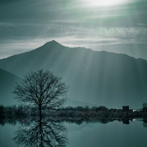 Serene Place