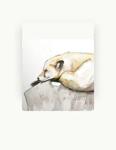 Poslechněte si interpreta For The Birds, sledujte hudební videa, přečtěte si životopis, podívejte se na data turné a další informace.