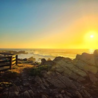 Real - Single - Funky B