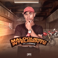 Maloqueiro Inteligente - Single - Mc Luizinho
