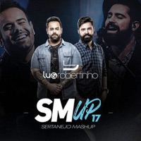 Sertanejo Mashup 17 - Lu & Robertinho