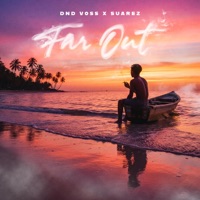 Far Out - Single - Suarez & DND VOSS