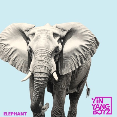 Elephant - Single