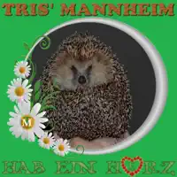 Hab ein Herz — Tris' Mannheim
