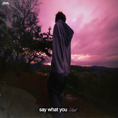 Say what you feel