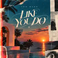 Like You Do — TOM BVRN