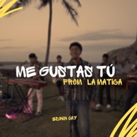 Me Gustas Tú (From La Matica) - Single - Edwin Jay