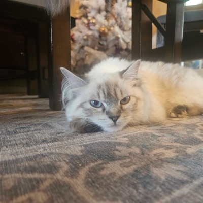 Sunny Days (feat. AutumnTorch) - Single