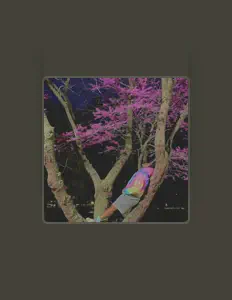 Cam da Artistを聴いたり、ミュージックビデオを鑑賞したり、経歴やツアー日程などを確認したりしましょう！