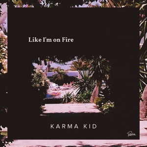 Like I'm on Fire (Kartell Remix) - Single