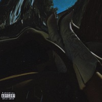 WHAT U NEED (feat. ASTRO) - Single - Saladdin