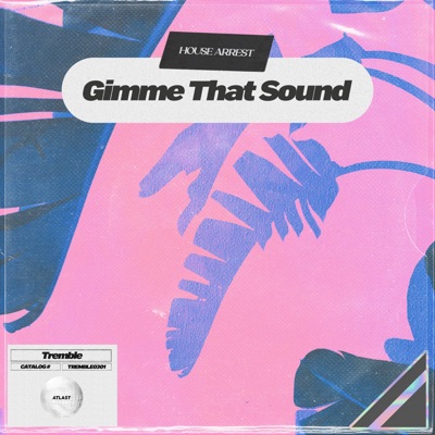 Gimme That Sound - Single