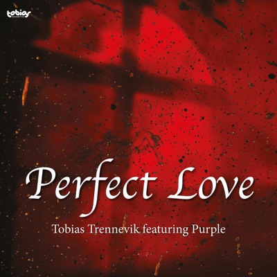 Perfect Love (feat. Purple) - Single