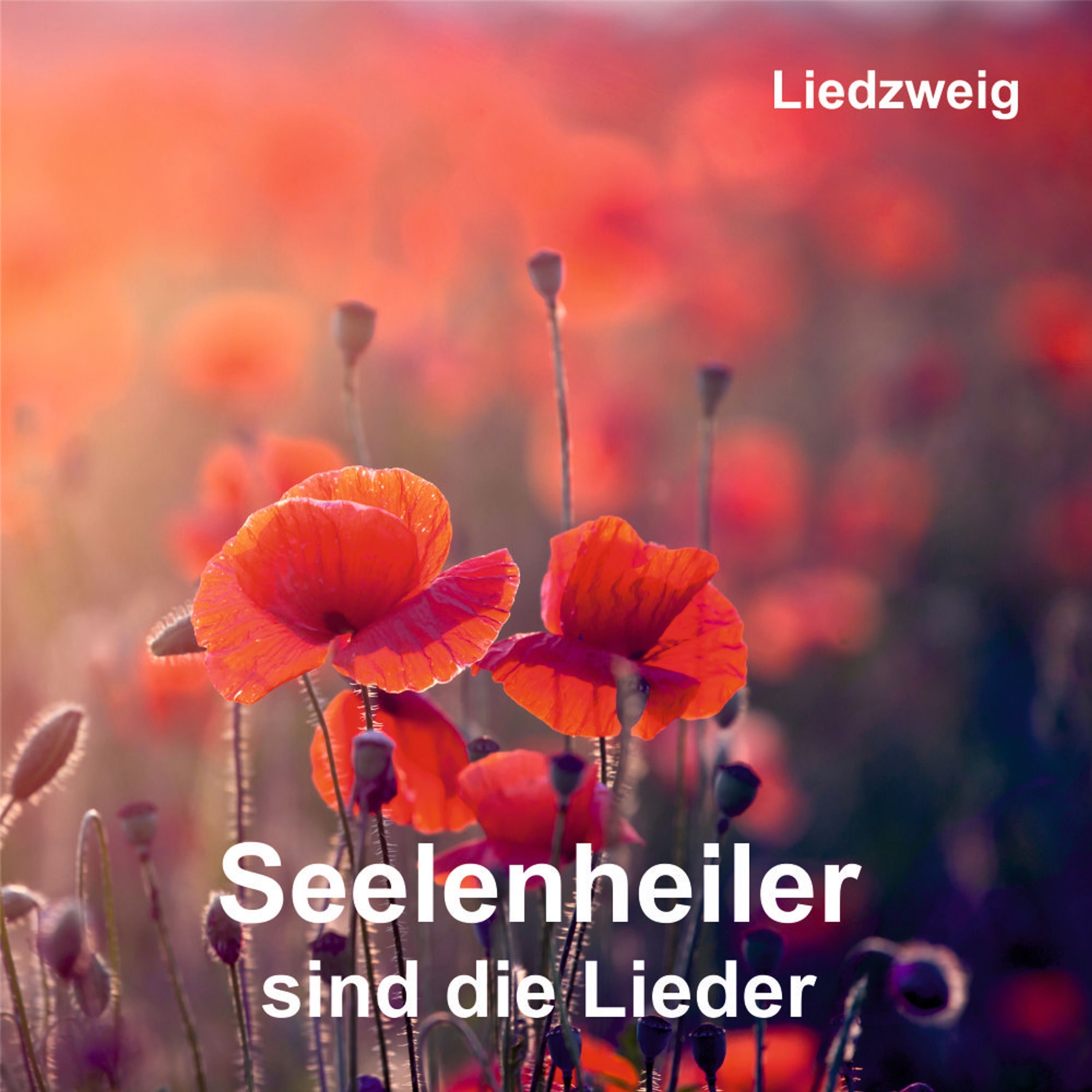 Seelenheiler sind die Lieder (Acoustic)