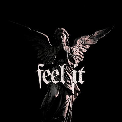 FEEL IT (acoustic) - Single