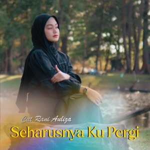 Seharusnya Ku Pergi Album Art