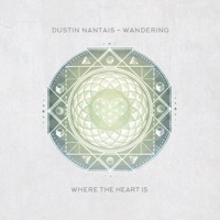 Wandering - Dustin Nantais