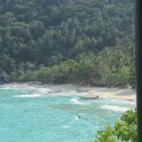 Palm Trees - Single - Webby