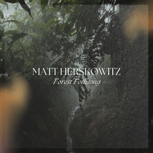 Forest Folksong