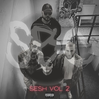 Sesh, Vol. 2 (feat. Matty Stan, Lil Ghob & Lvkka boy) - Single