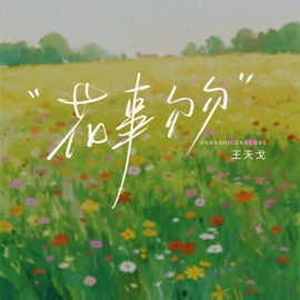 花事匆匆 王天戈