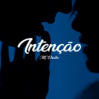 Intenção - Single - MC Dreike & DJ hud