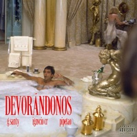 DEVORÁNDONOS (feat. IGNVCIO Cr) - Single - G santy