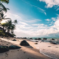 MONEY ON MY MIND - Single - ForeverBadboy