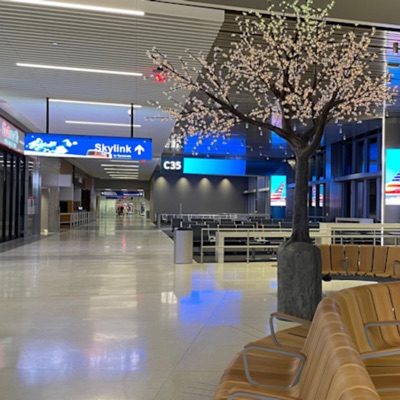 Dallas Airport Mixtape - EP