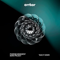 Take It Down - Single - Phoenix Movement & Bora Project