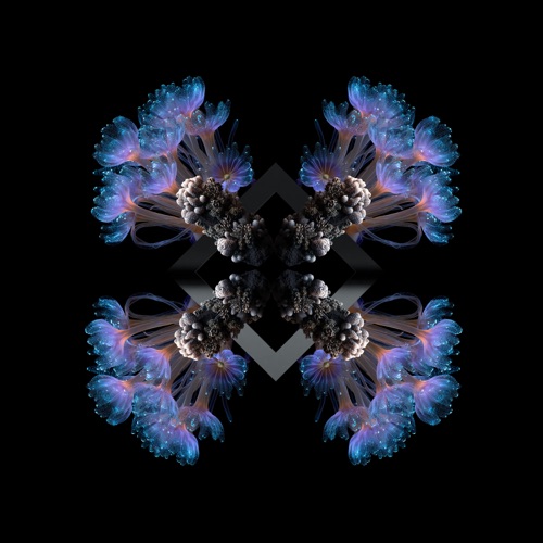 10 Breaths by – 01:47:30 → Fideles feat 88Birds