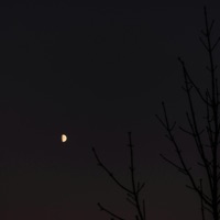 All With You - Single - 2FarAway