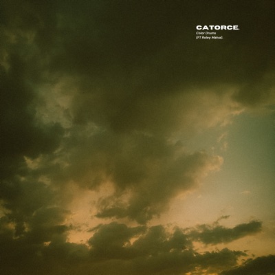 Catorce (feat. Roley Malva) - Single