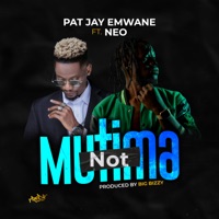 Not Mutima (feat. Neo) - Single - Pat Jay Emwane