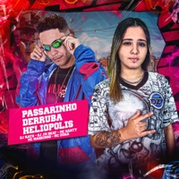 Passarinho Derruba Heliópolis - Single - DJ KATH, DJ JM BEAT, Mc santt, Mc Magrinho & Mc Zuka