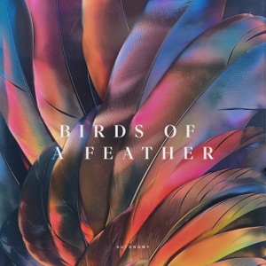 Birds Of A Feather (feat. Anna Phoebe & Thomas Slinger)