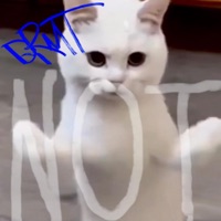 notsatisfied - Single - Frightxo