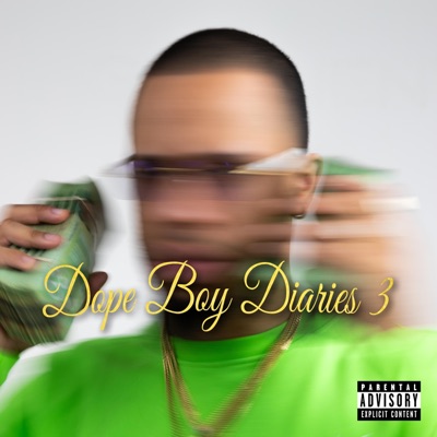 Dope Boy Diaries 3