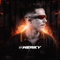 Aproveita e Desce a Perereca - Single - DJ Weriky