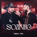 Sozinho