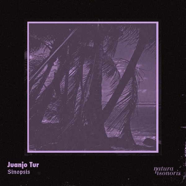 Sinopsis - Single