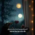 Tell Me That You Love Me მითხარი რომ გიყვარვარ