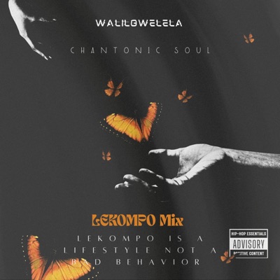 WaLiLoWeLeLa Lekompo mix9 - Single