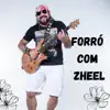 VOCÊ ENDOIDECEU MEU CORAÇÃO (Zheel)