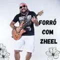 VOCÊ ENDOIDECEU MEU CORAÇÃO (Zheel)