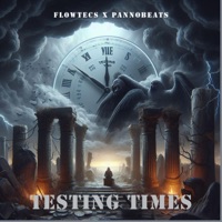 Testing Times (feat. PannoBeats) - Single - Flowtecs