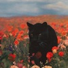 Pnkgrdn - Single
